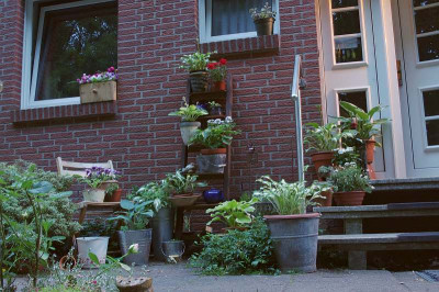 IMGP8741.jpg