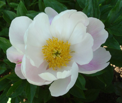 k-DSC07397.JPG
