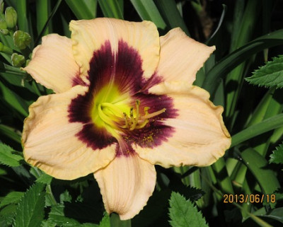 IMG_2474_small.JPG