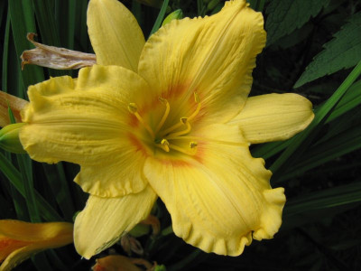 Noname_130616.jpg
