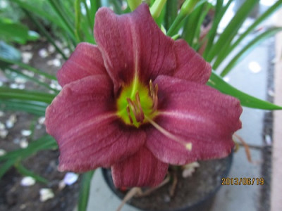 IMG_2478_small.jpg