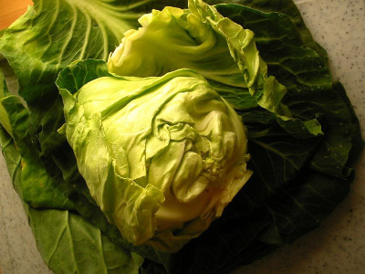 Spitzkohl1_2013.jpg