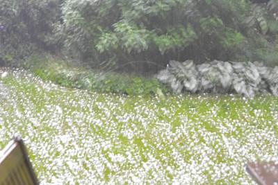 Hagelunwetter-Jun2013.jpg