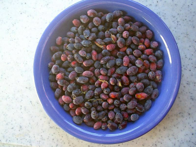 Maibeeren_2013.jpg
