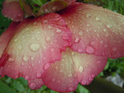 juni_2013_mitte_019.JPG