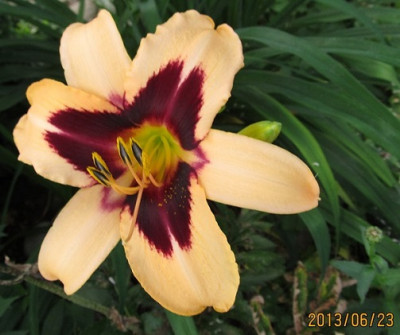 IMG_2538_small.JPG