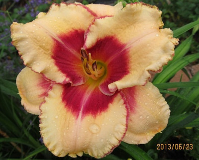 IMG_2534_small.JPG