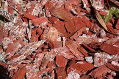 Rindenmulch.jpg