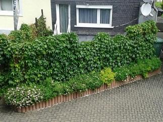 20130623_114507_resized.jpg