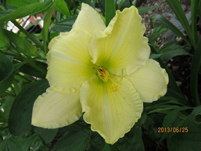 IMG_2543_small.jpg