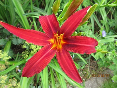 IMG_2567_small2.jpg