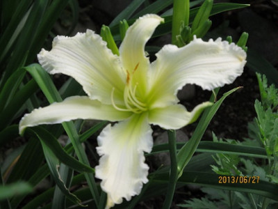 IMG_2578_small.JPG