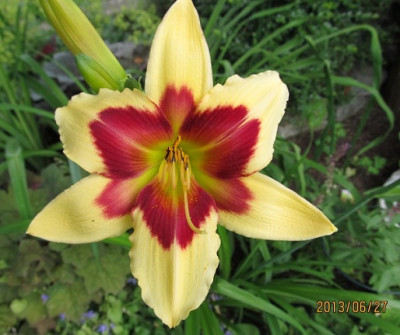 IMG_2569_small.JPG