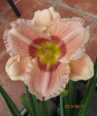 IMG_2565_small.JPG