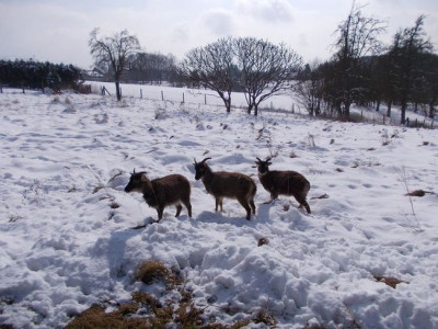 DSCN0222.JPG