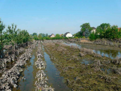 Giesslers-Garten.jpg