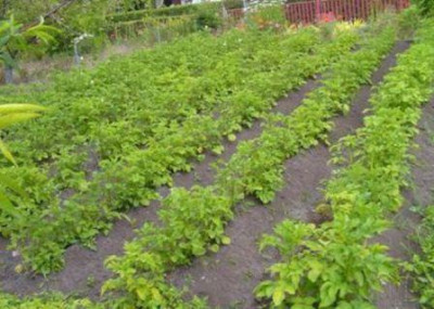 BILD0574.JPG