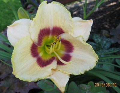 IMG_2626_small.JPG