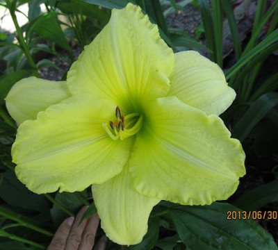 IMG_2628_small.JPG