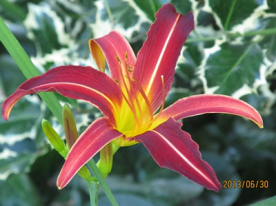 IMG_2622_small.jpg