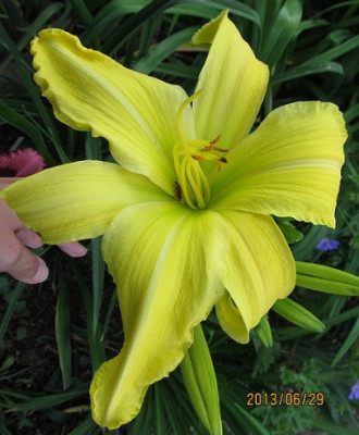 IMG_2602_small.JPG