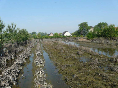 giessler_hochwasser_02.jpg