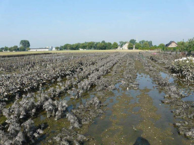 giessler_hochwasser_01.jpg