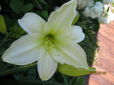IMG_2639_small.jpg