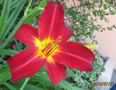 IMG_2630_small.JPG