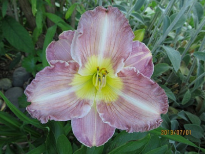 IMG_2641_small.jpg