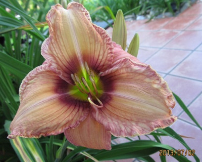 IMG_2643_small.JPG