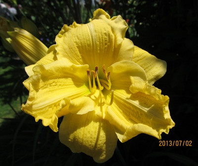 IMG_2652_small.jpg