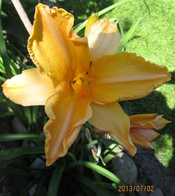 IMG_2660_small.JPG