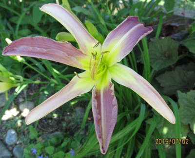 IMG_2656_small.JPG