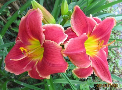 IMG_2670_small.JPG