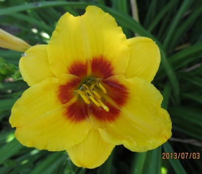 IMG_2680_small.JPG
