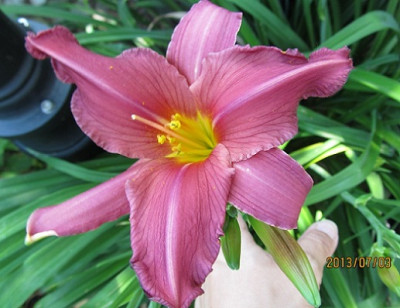 IMG_2678_small.JPG