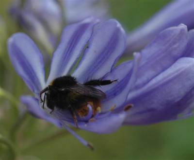 C7984a_Small.jpg