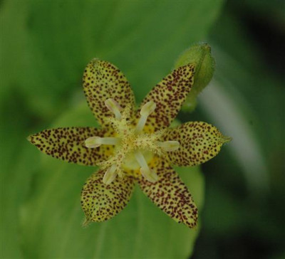 C7959a_Small.jpg