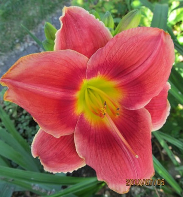 IMG_2764_small.JPG