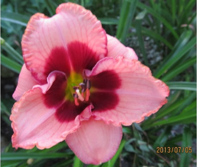 IMG_2729_small.JPG