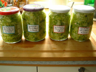 Spitzkohlsauerkraut_2013.jpg