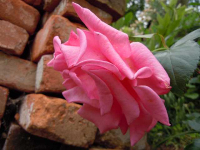 juli2013_005.JPG