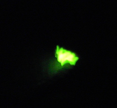 PICT8333-001.JPG