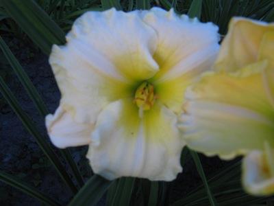 IMG_4708_2.jpg