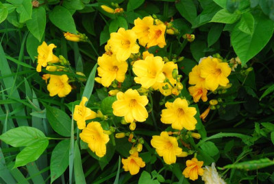 C7708_Small.JPG