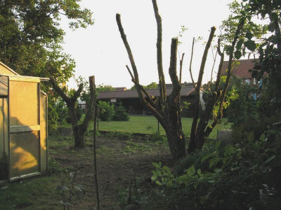 neue_Spielwiese_pur.jpg