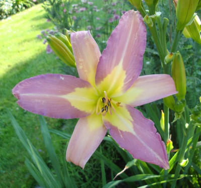 k-DSC07714.JPG