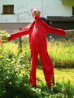 Vogelscheuchen_Klausi_Erbsenhirn.jpg