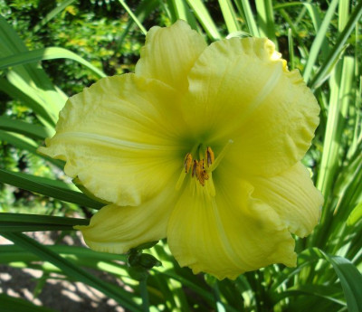 k-DSC07801.JPG